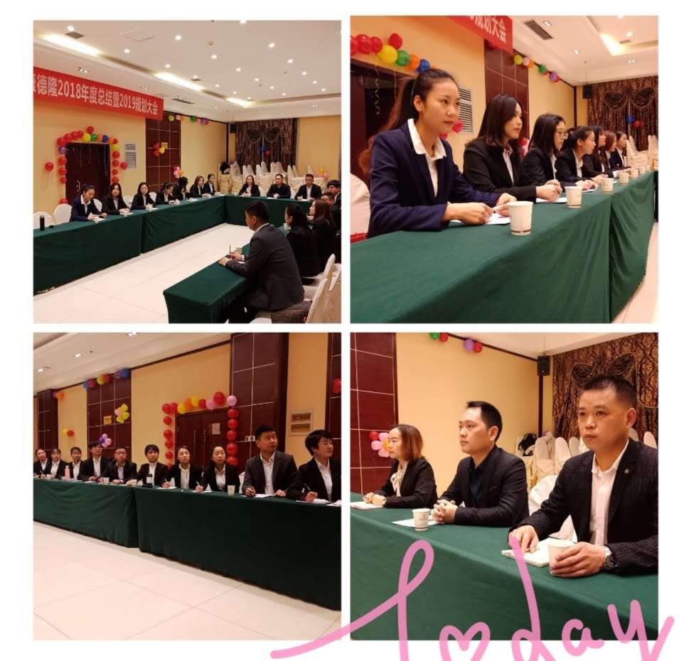 創(chuàng)新發(fā)展 再創(chuàng)輝煌--德隆公司2018年度總結(jié)暨2019規(guī)劃大會(huì)圓滿召開(kāi)